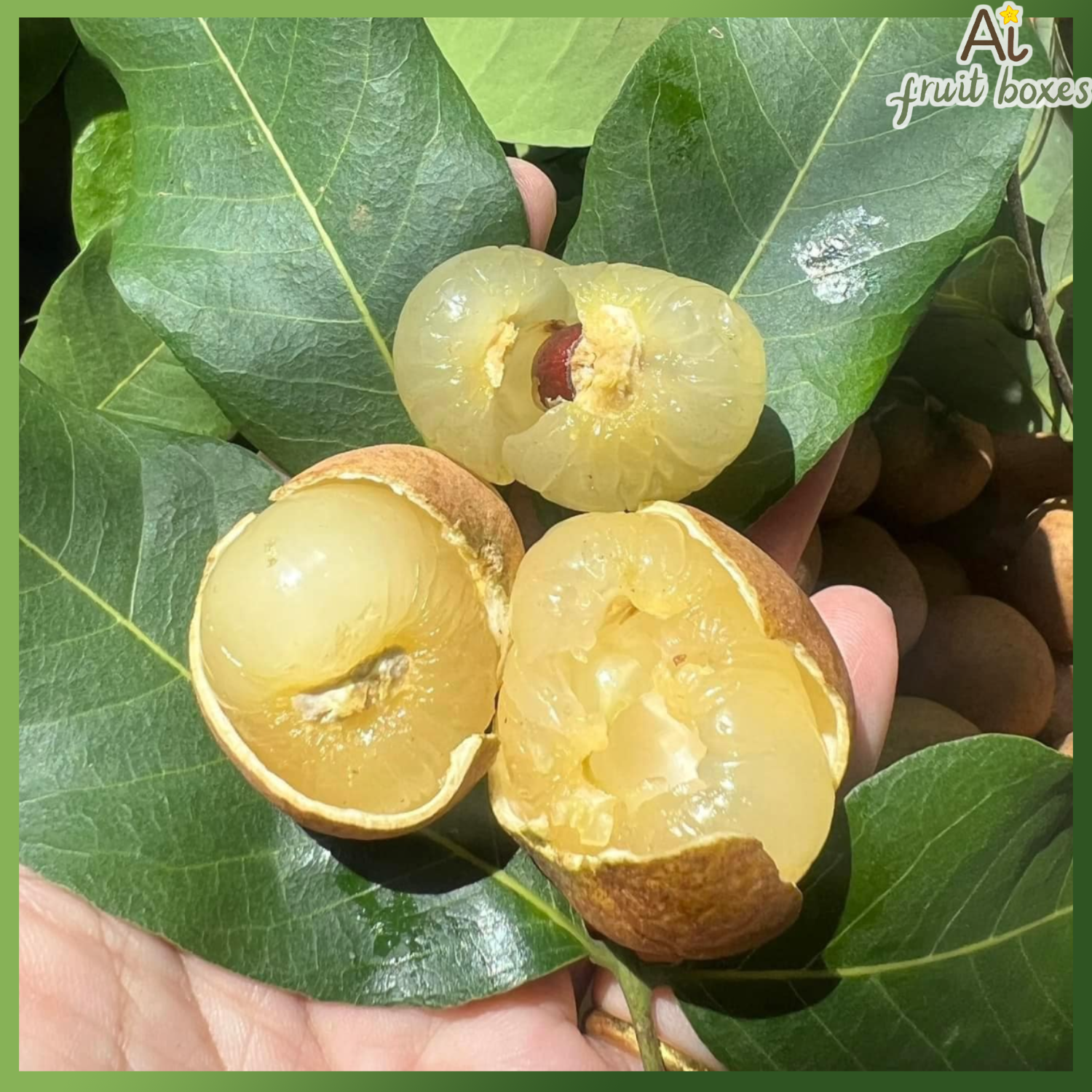 photo (63) photo (63)