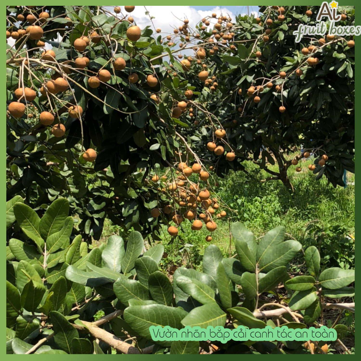 photo (67) photo (67)