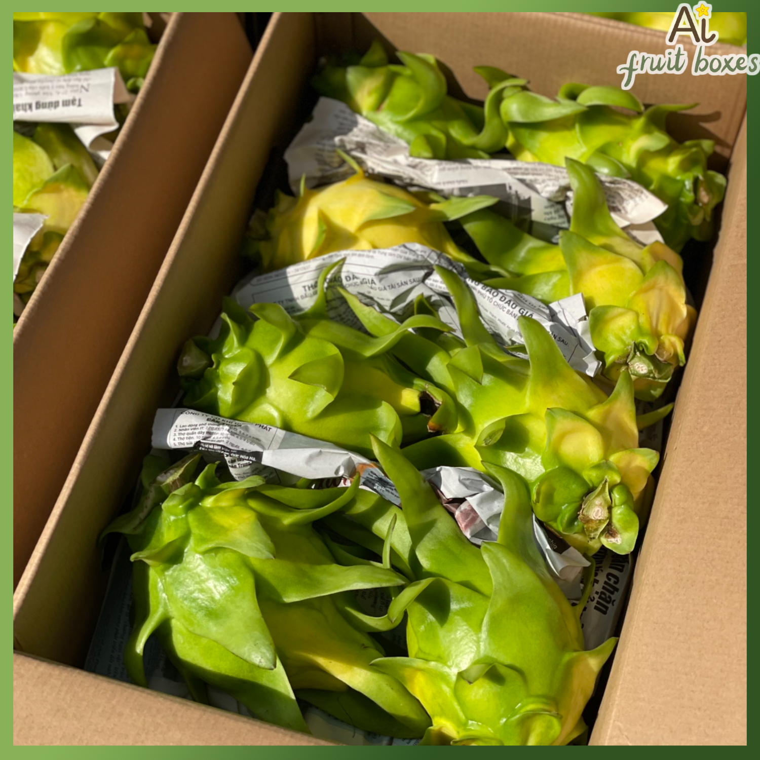 photo (79) photo (79)