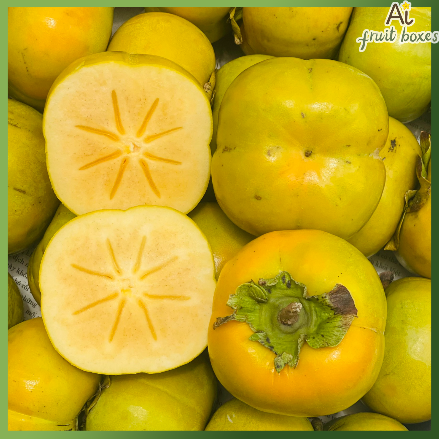 photo 2024 08 09T121937.812