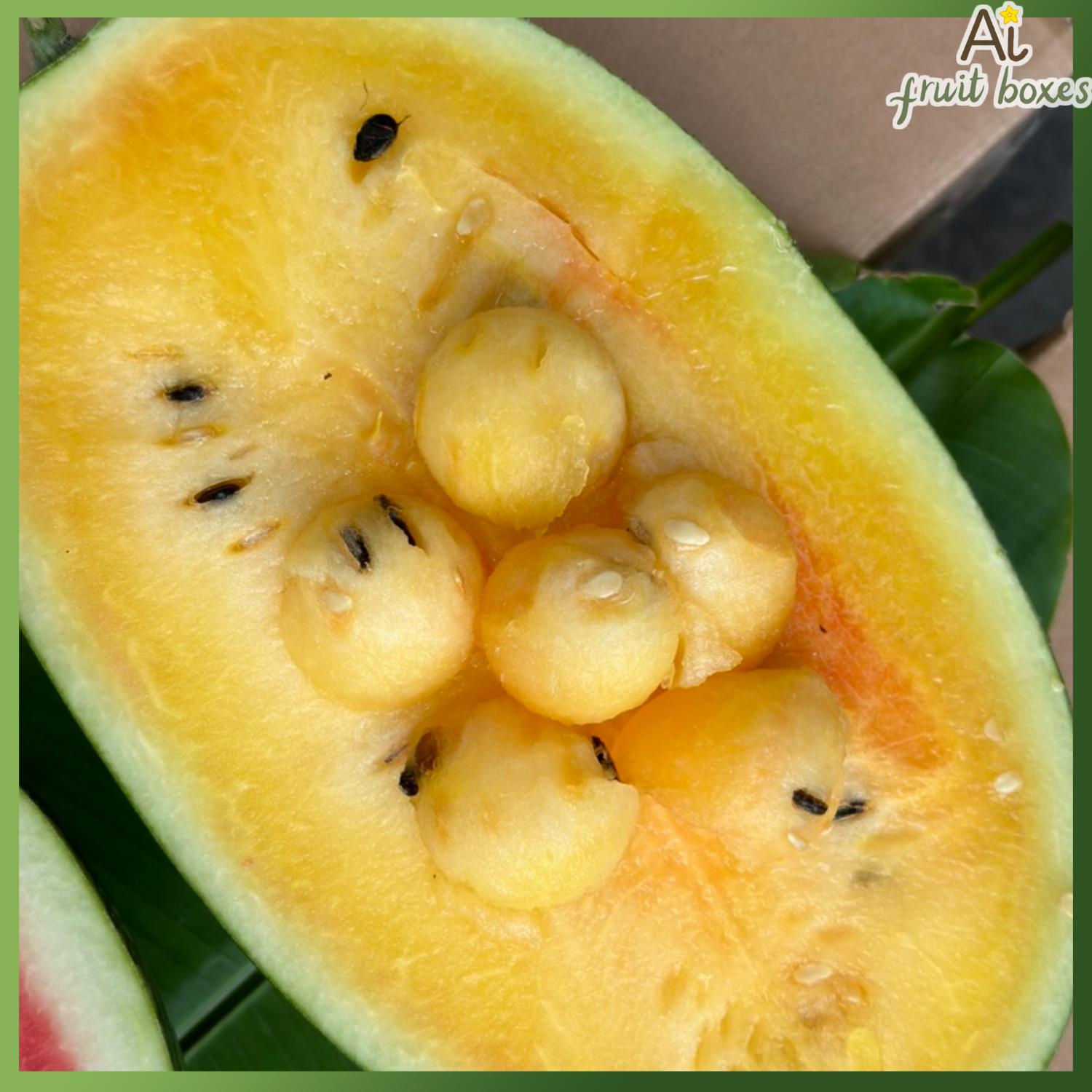 photo 2024 08 13T084003.874