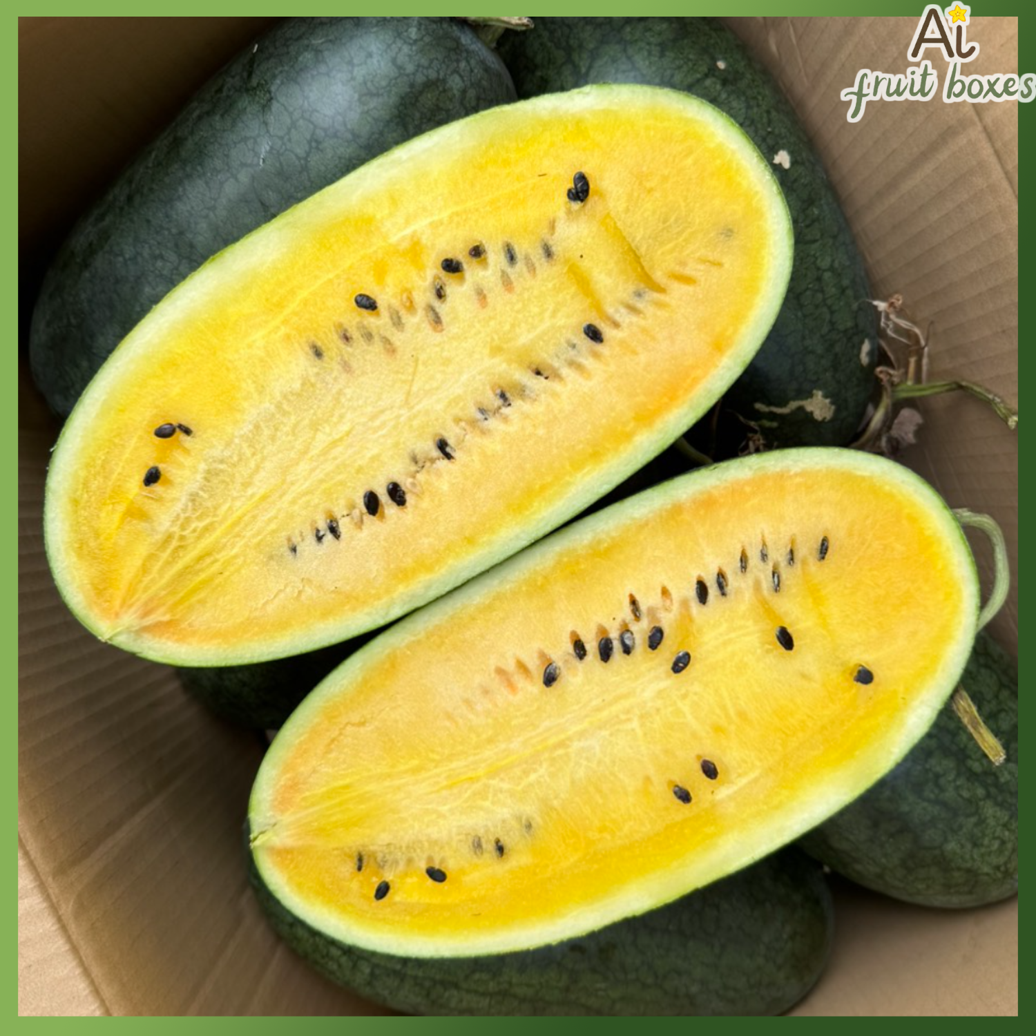 5106578e f93a 4146 bfce 4a34a51f3c56 photo 2024 08 13T084011.397