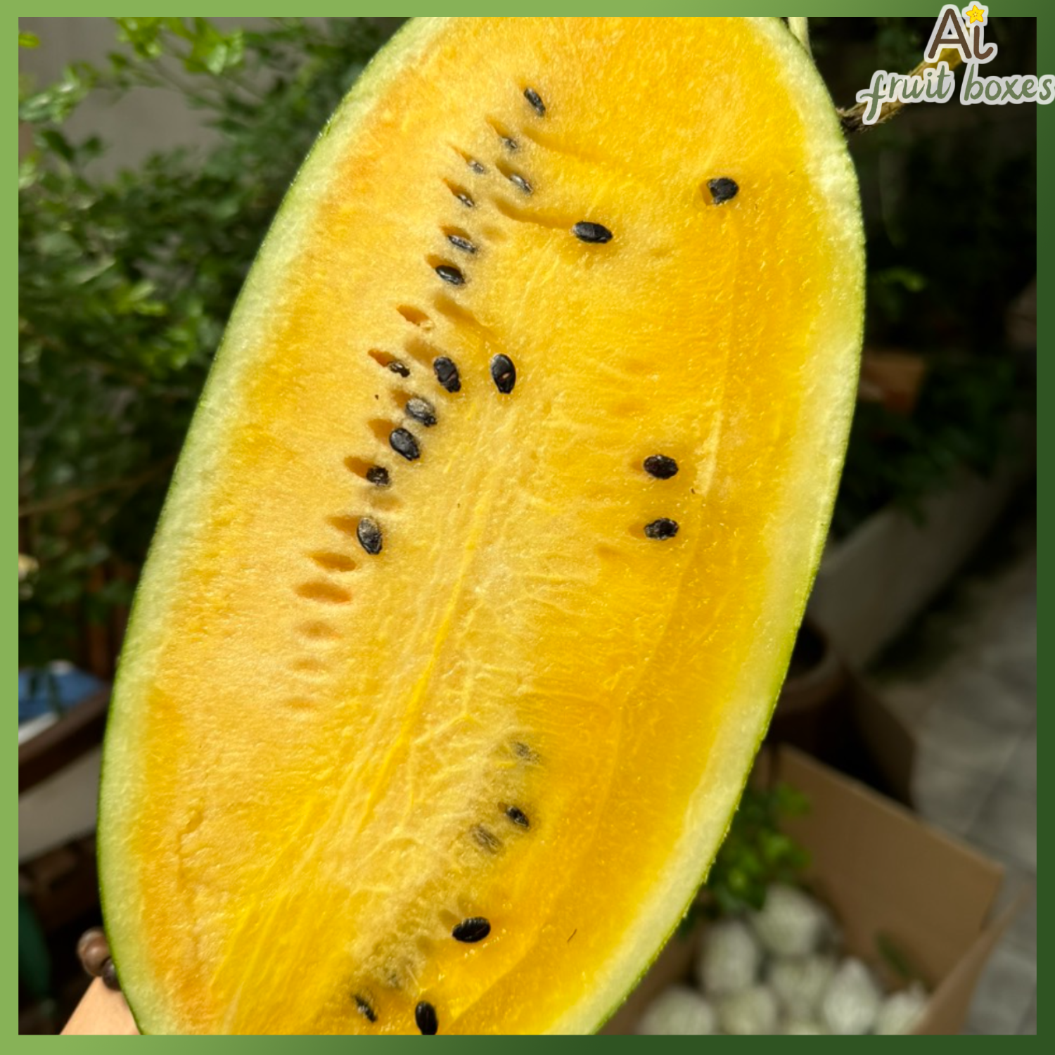 photo 2024 08 13T084033.293