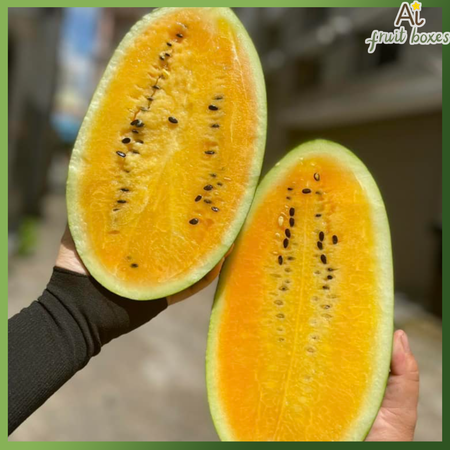 photo (86) photo 2024 08 13T084514.875