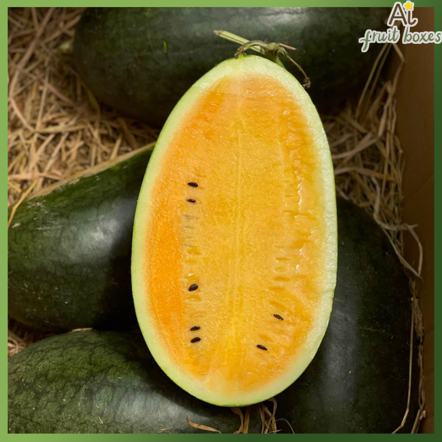 photo (85) photo 2024 08 13T084536.062