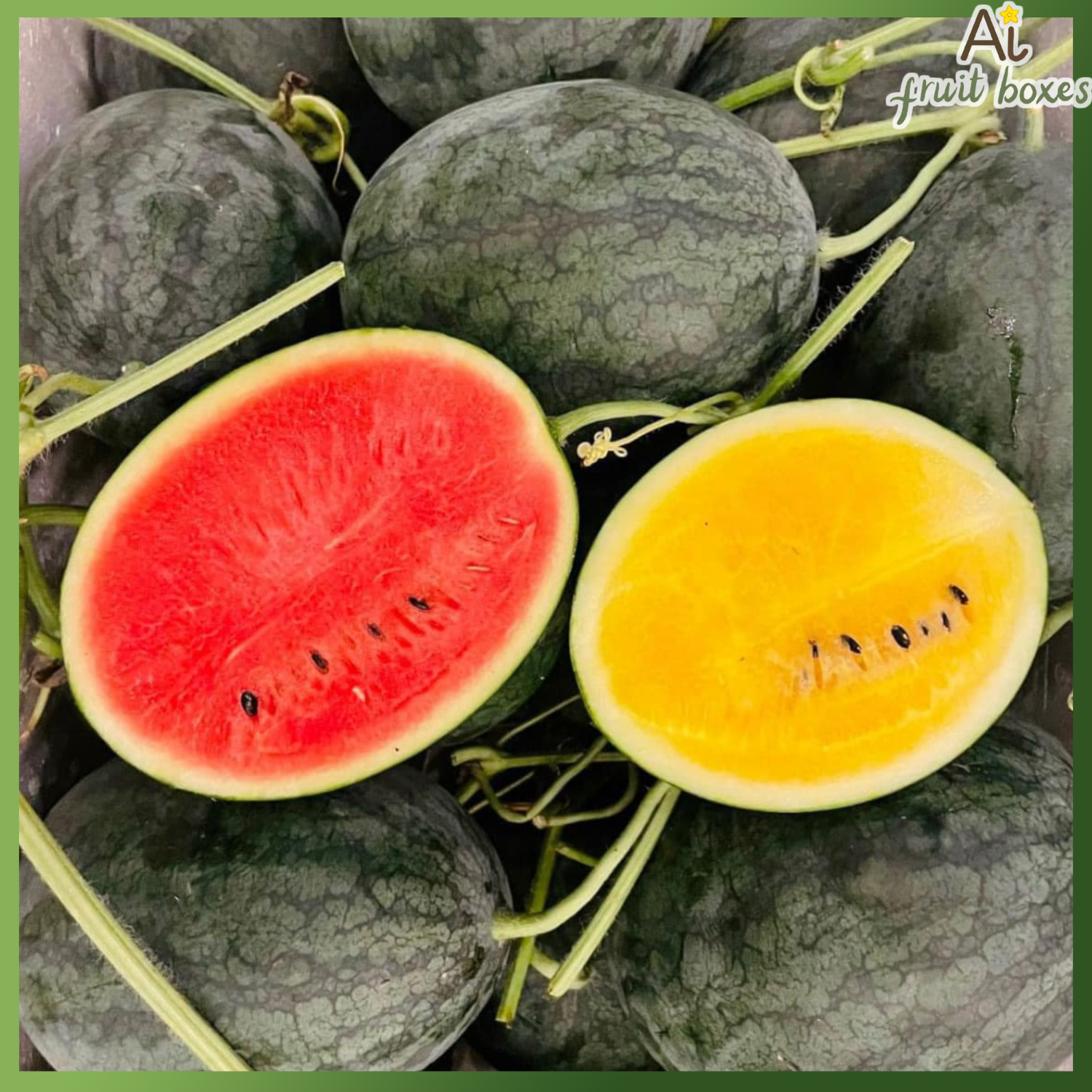 photo 2024 08 30T125059.891