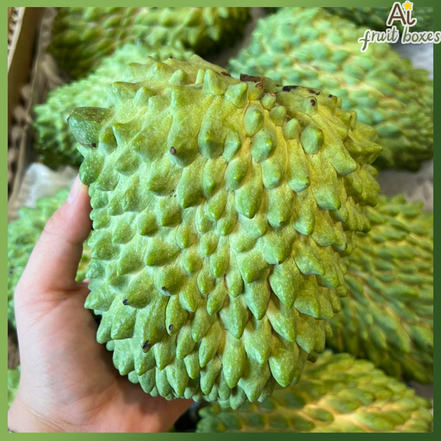 photo 2024 08 31T112053.361