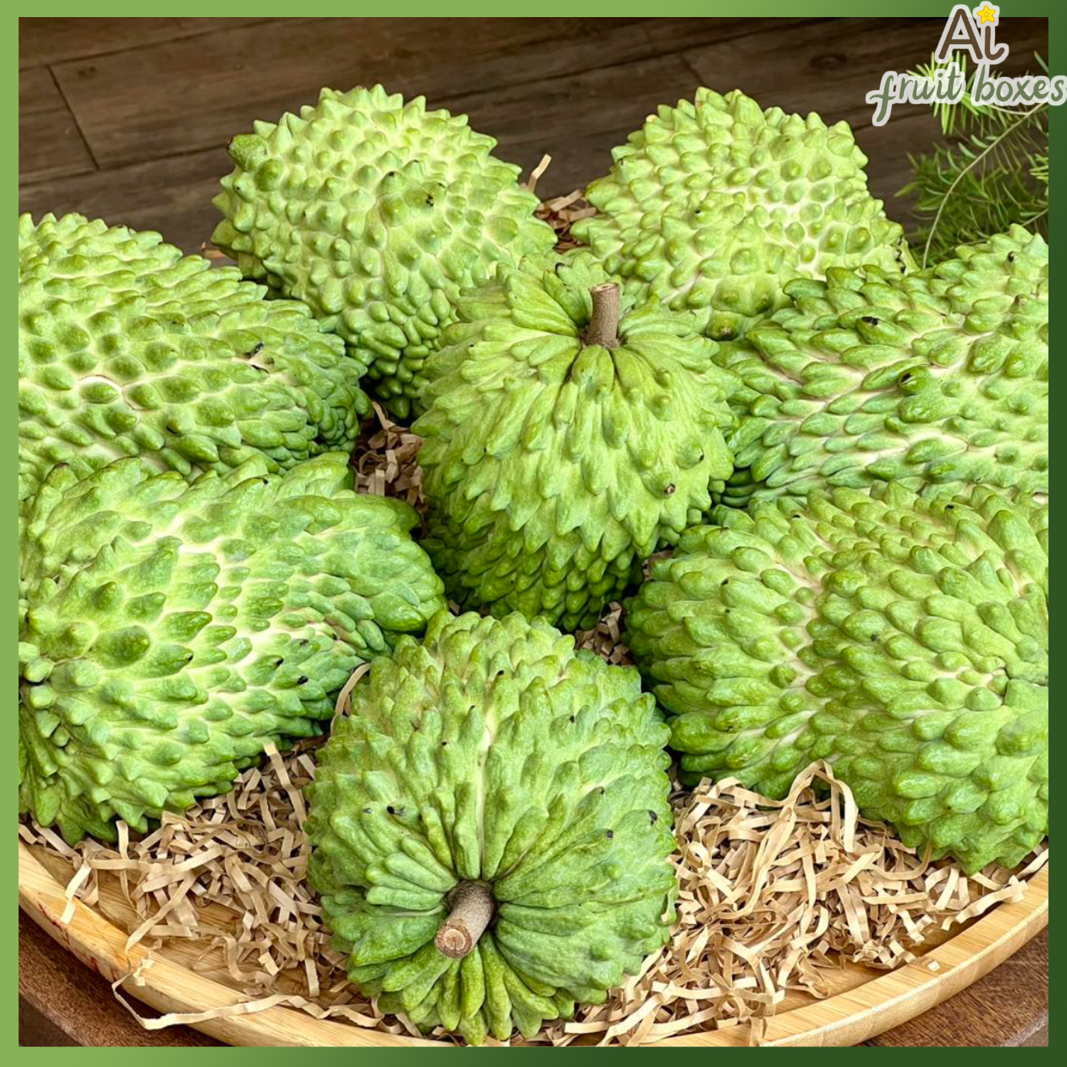 photo 2024 08 31T112110.811 photo 2024 08 31T112110.811