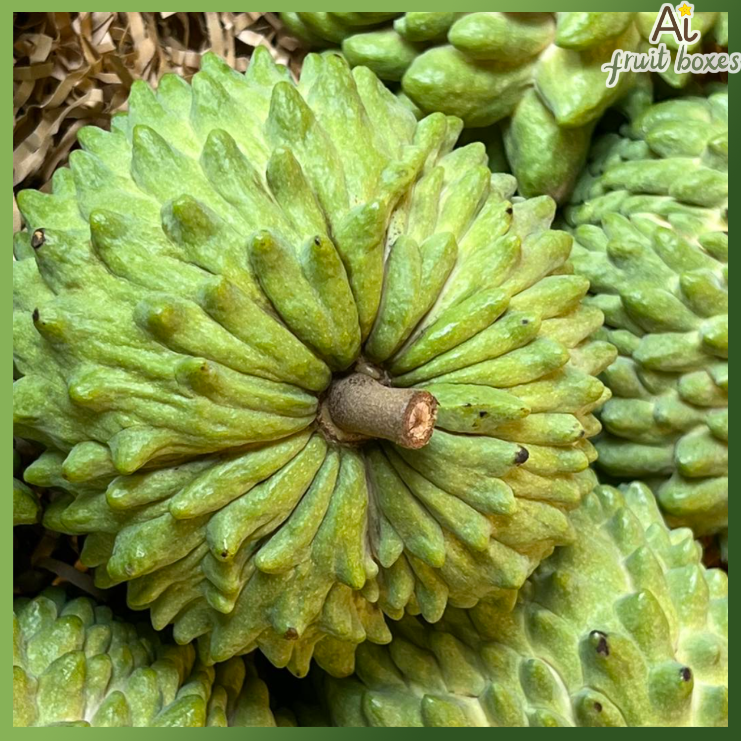 photo 2024 08 31T112122.781