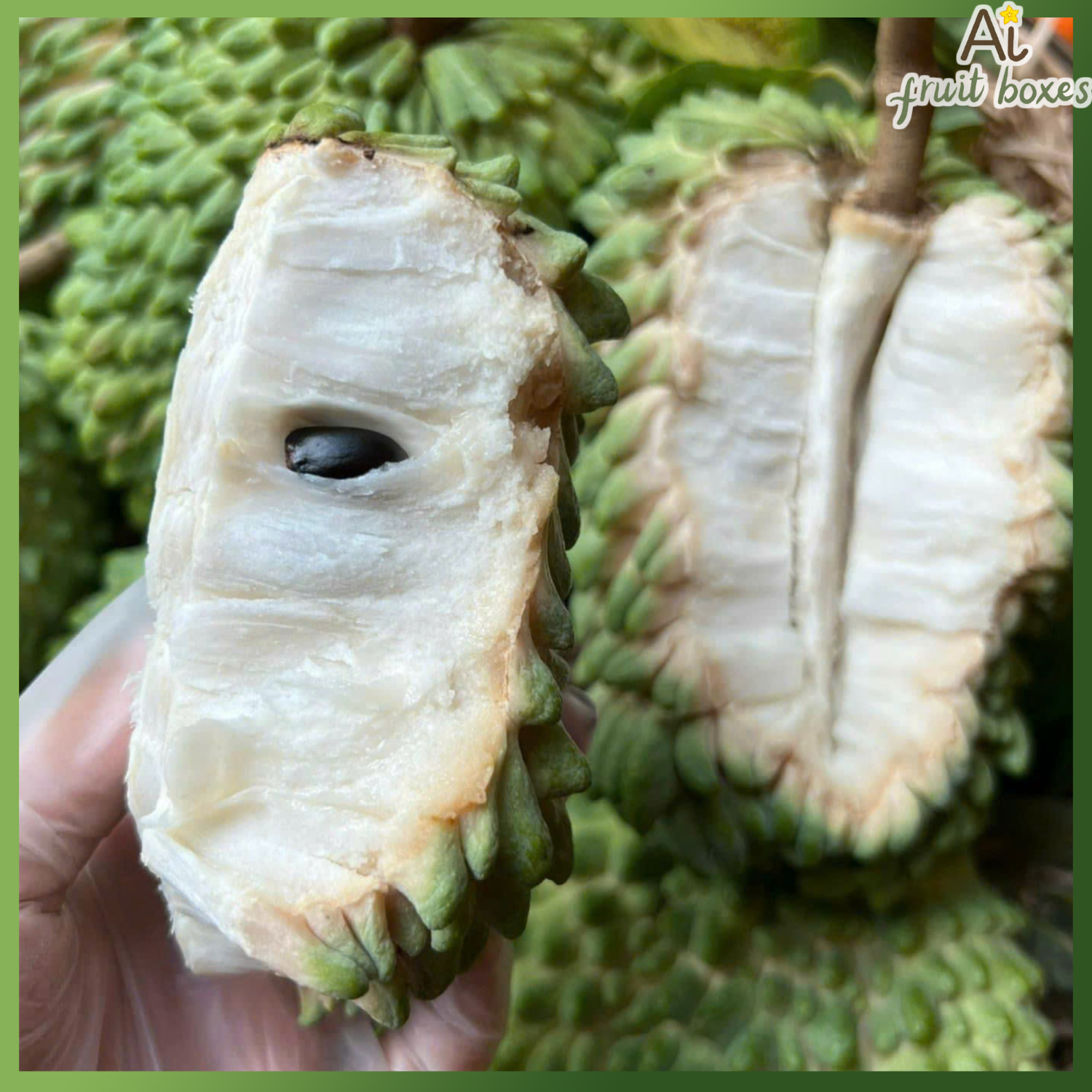 photo 2024 08 31T112157.286 photo 2024 08 31T112157.286