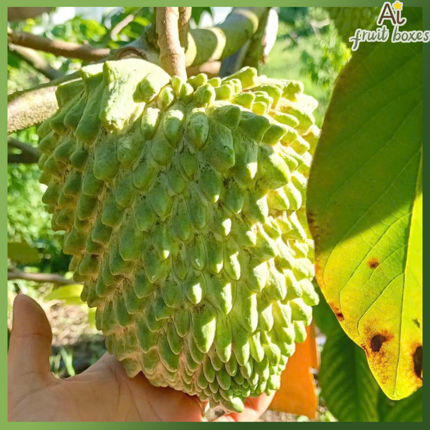 photo 2024 08 31T112218.756 photo 2024 08 31T112218.756