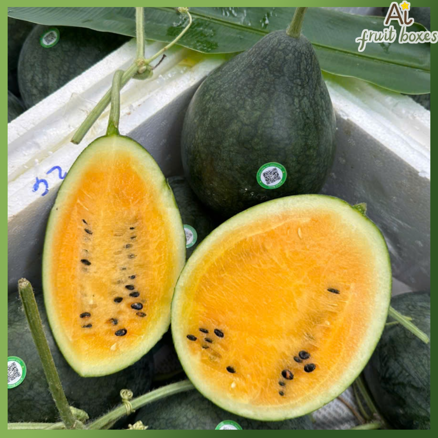 5106578e f93a 4146 bfce 4a34a51f3c56 photo 2024 08 31T131330.372