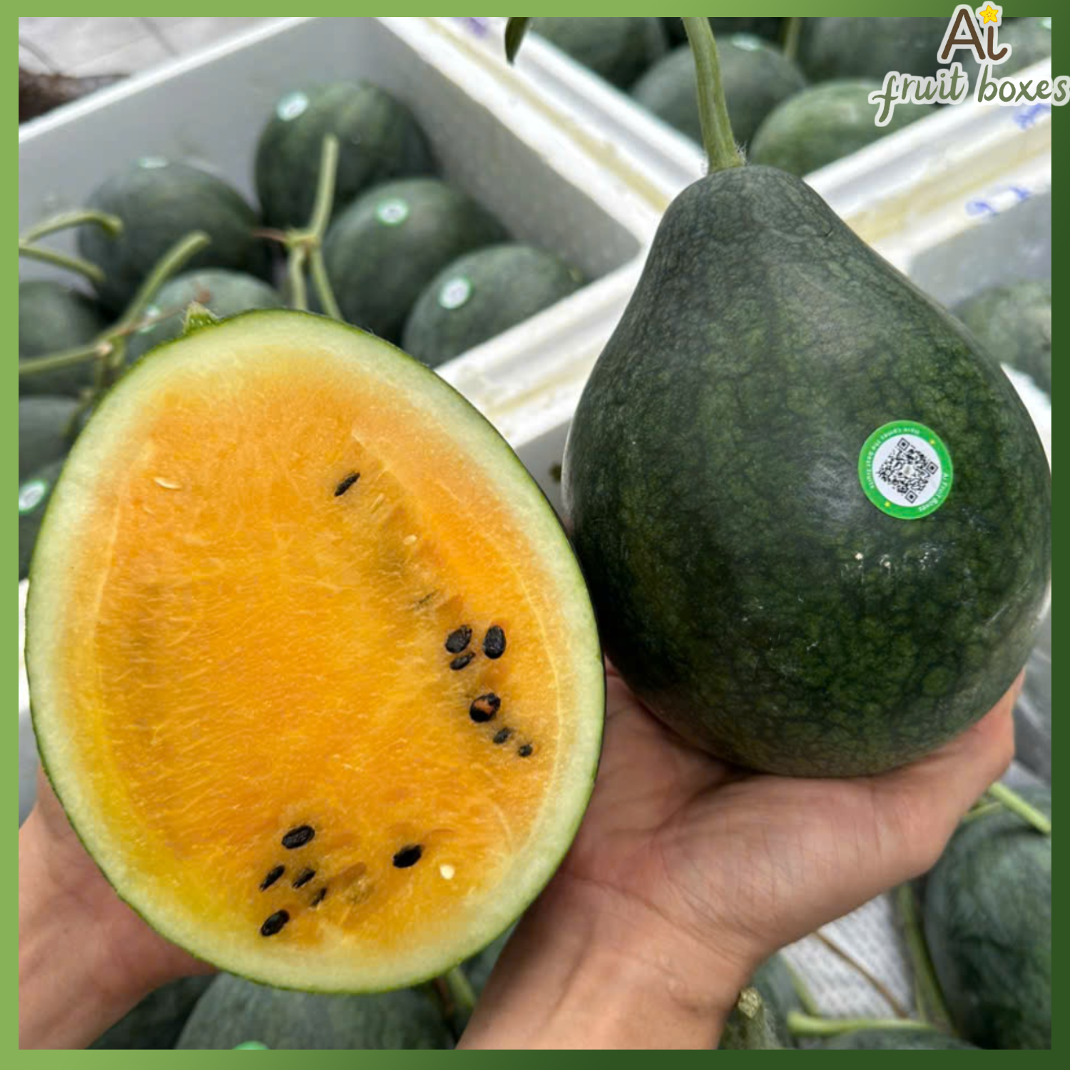 photo 2024 08 31T131351.527