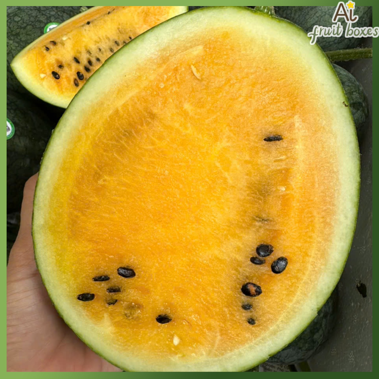 photo (85) photo 2024 08 31T131411.608