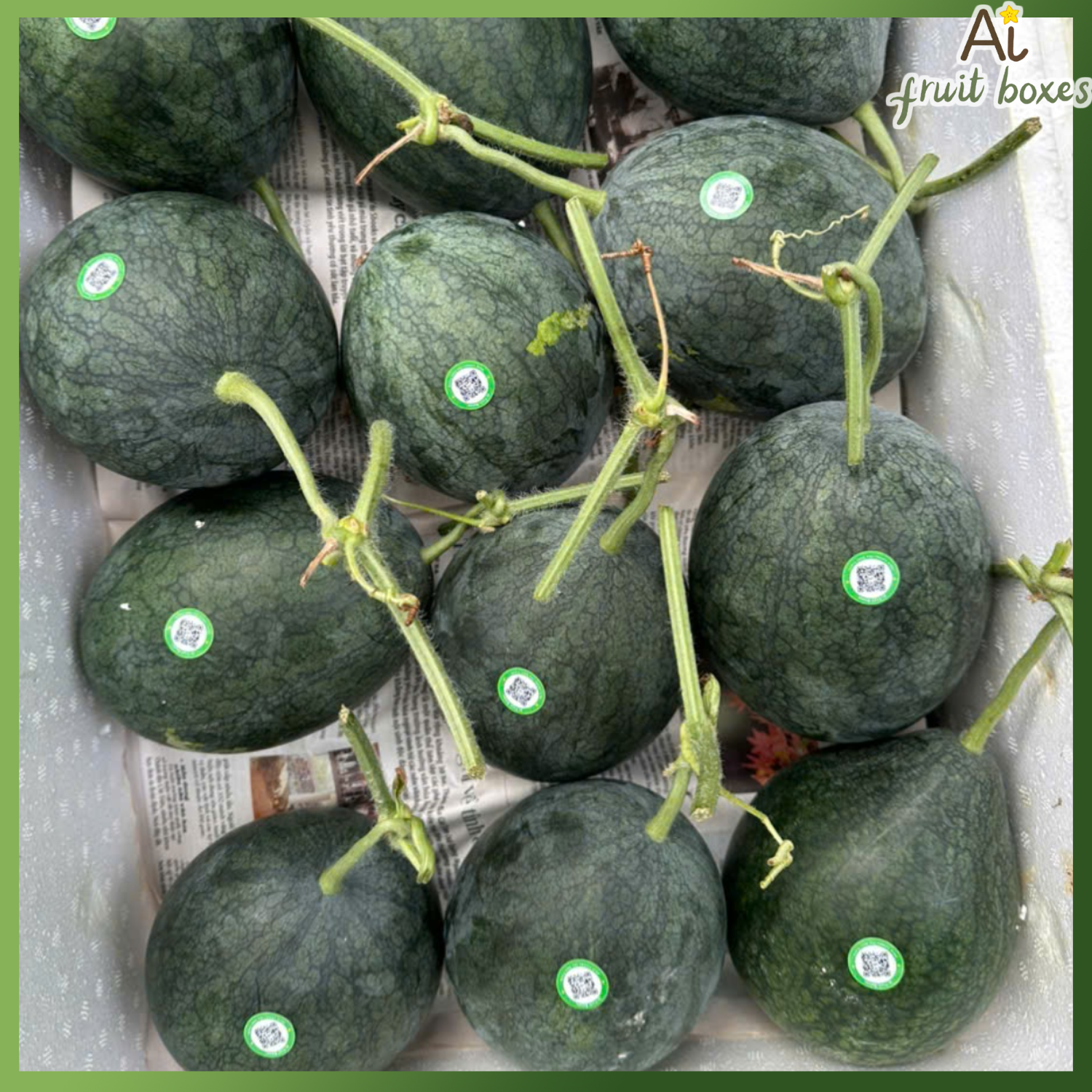 photo 2024 08 31T131622.109