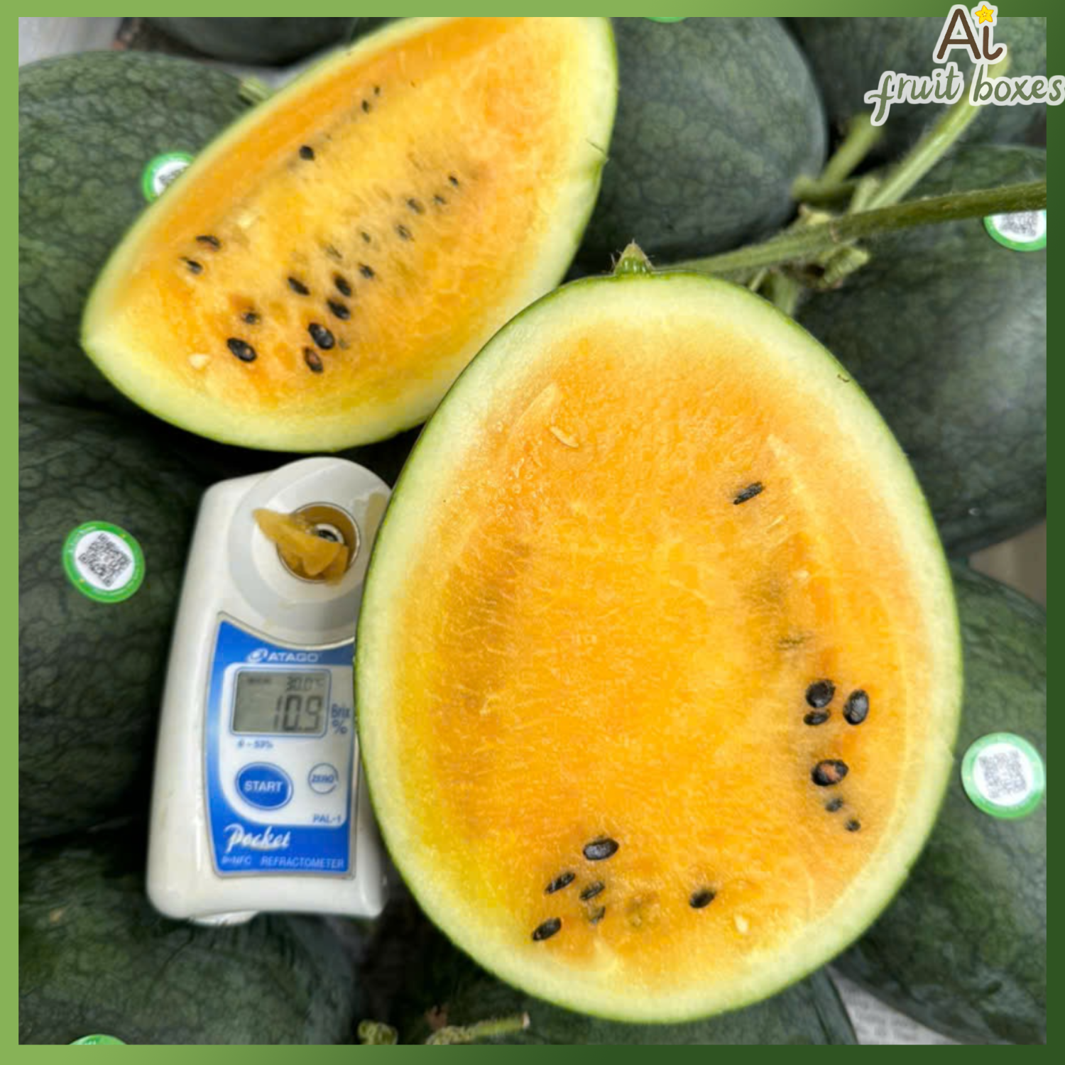 photo 2024 08 31T131640.088