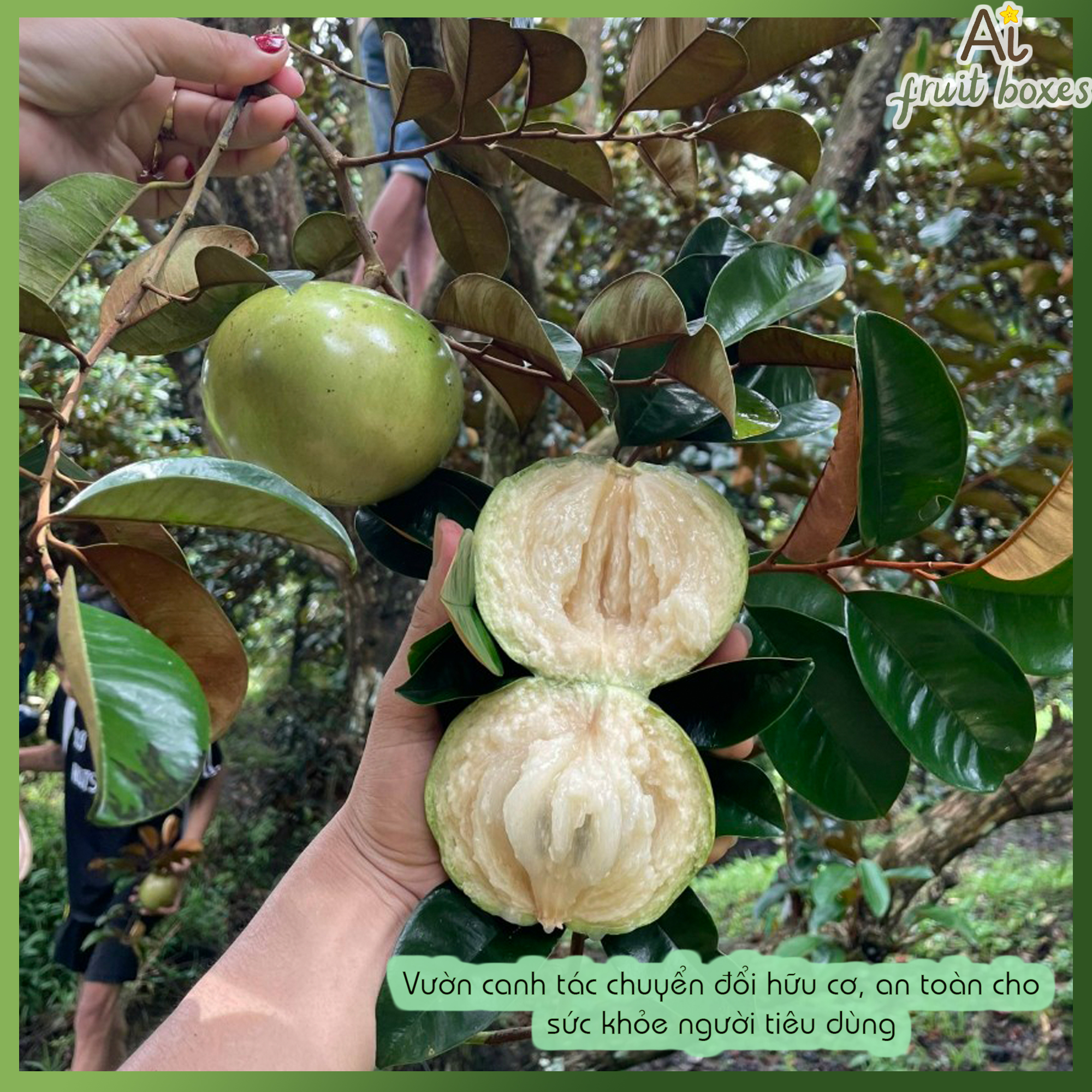 400355815 367993162403113 3602672448352183070 n