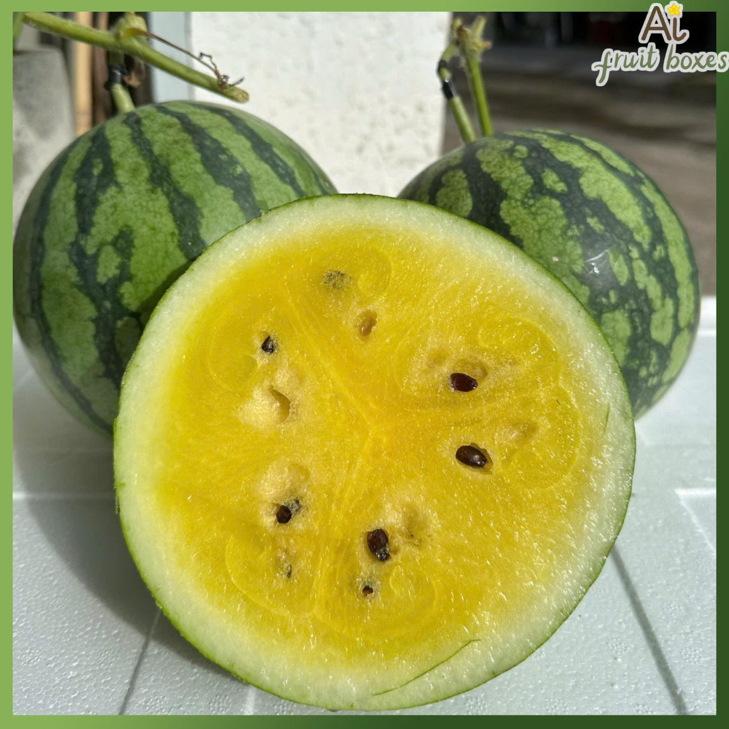 photo 2024 09 07T091329.594