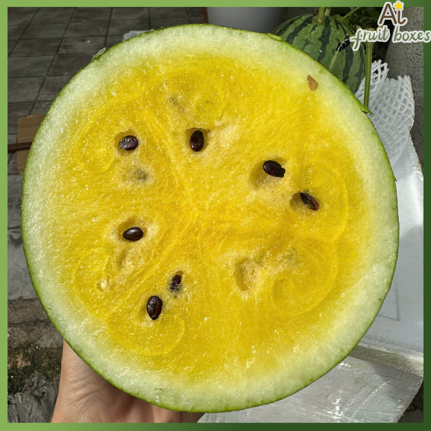 photo (85) photo 2024 09 07T091345.304