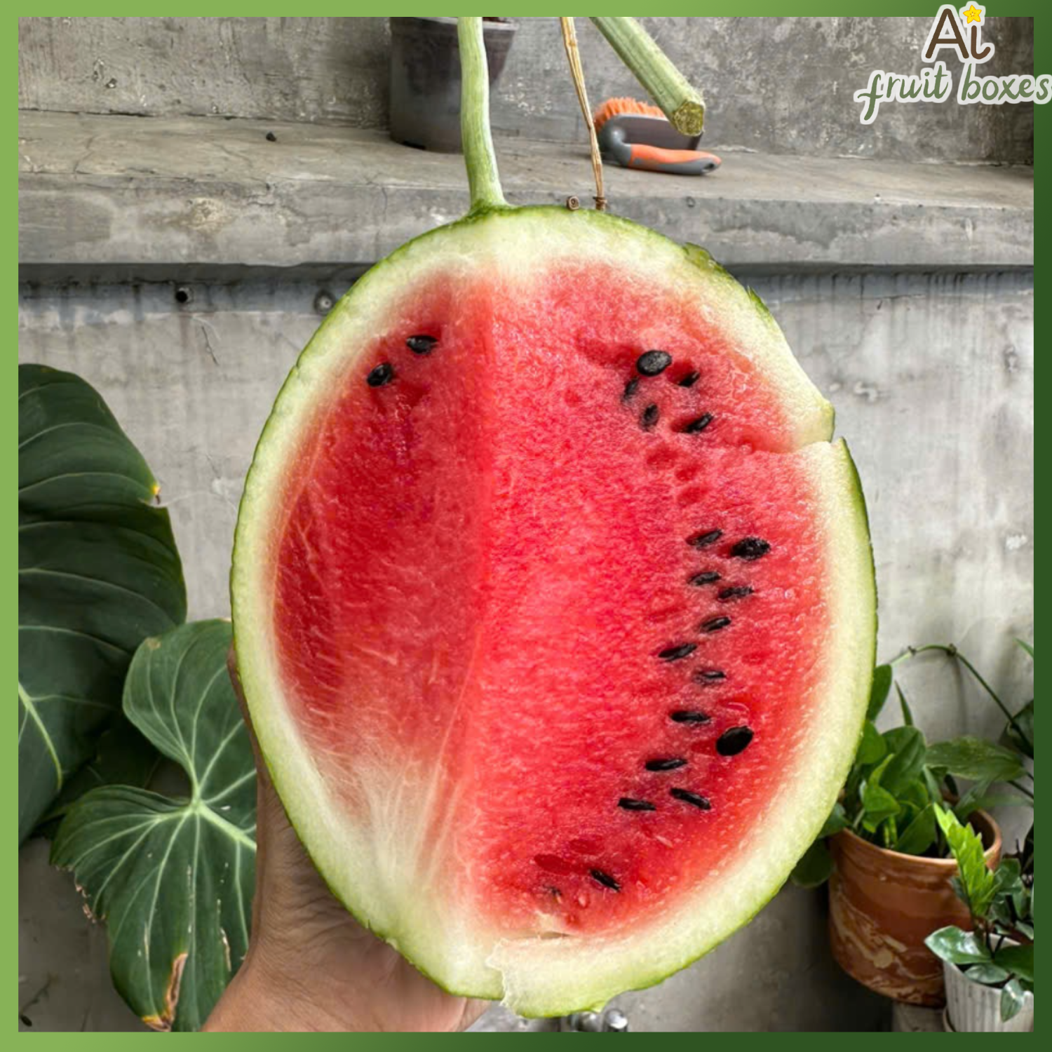 photo 2024 09 07T091411.786