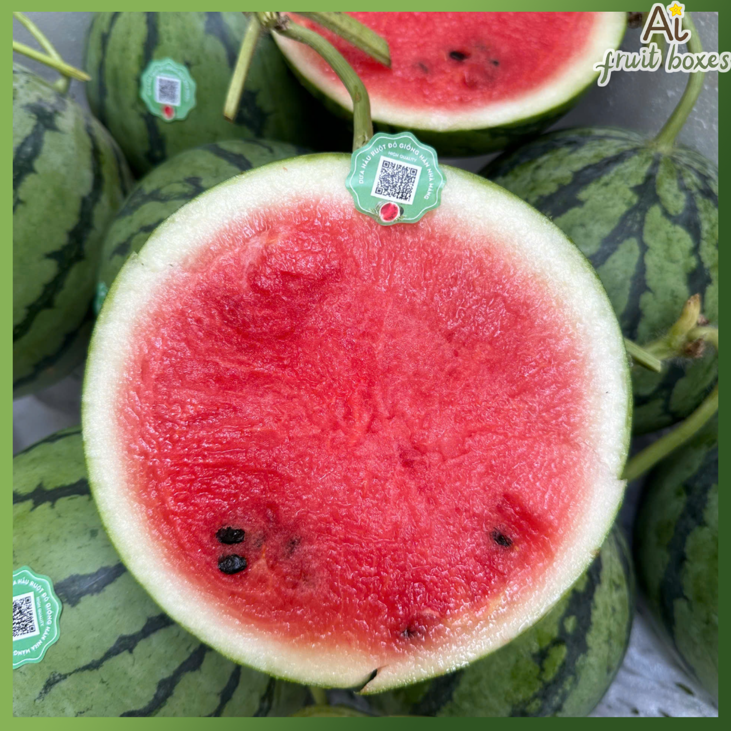 photo 2024 09 11T101721.651