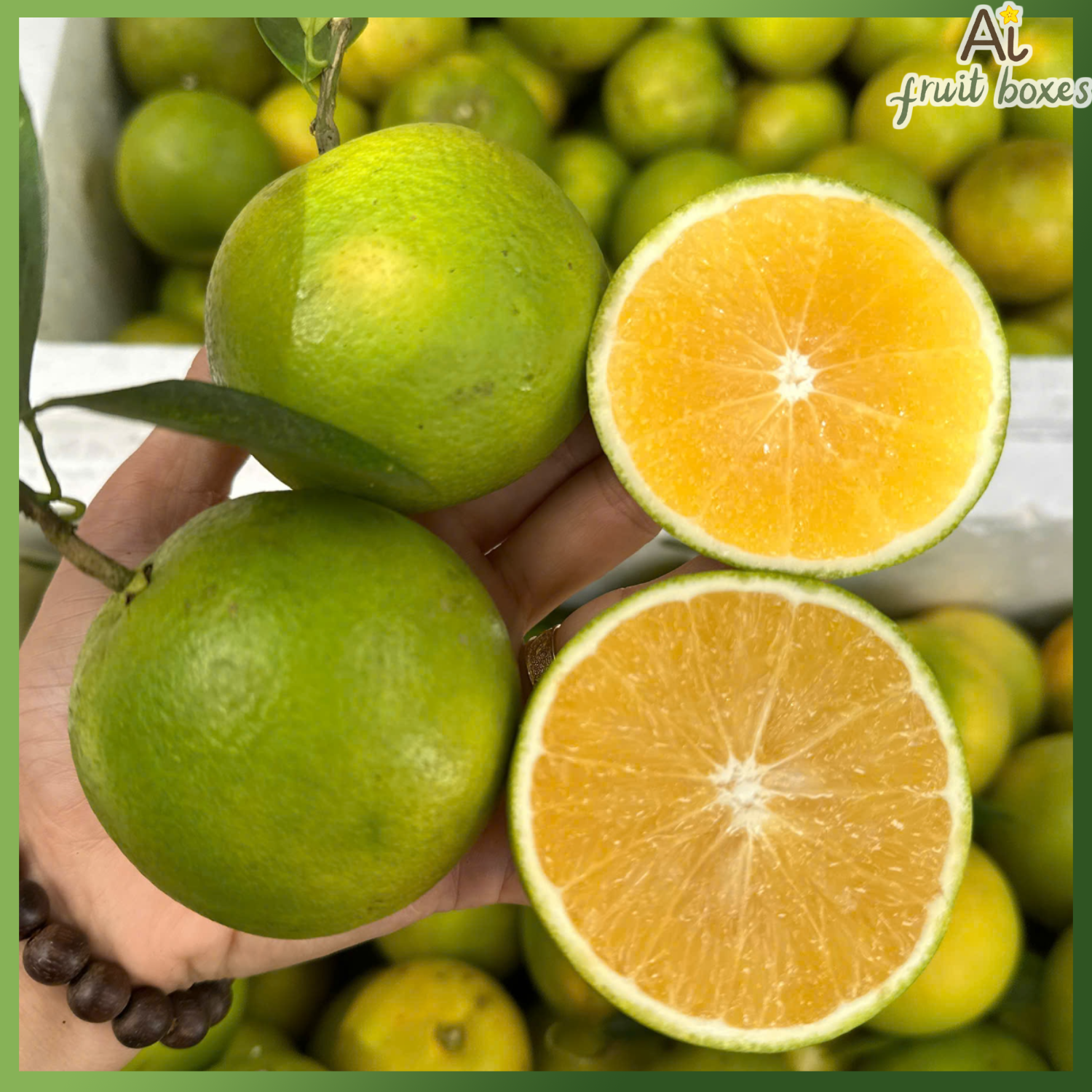 photo 2024 09 11T102422.144