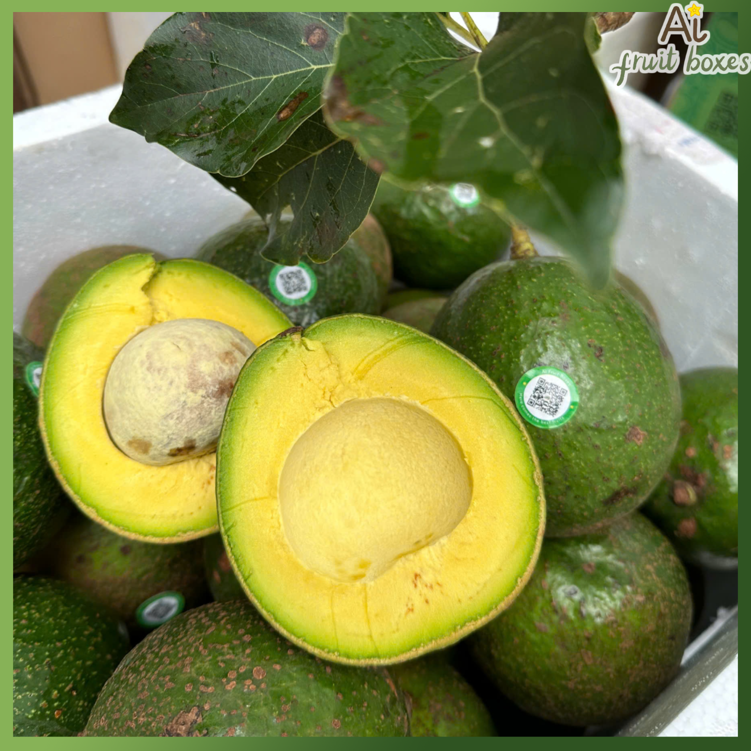 photo 2024 09 19T110730.897