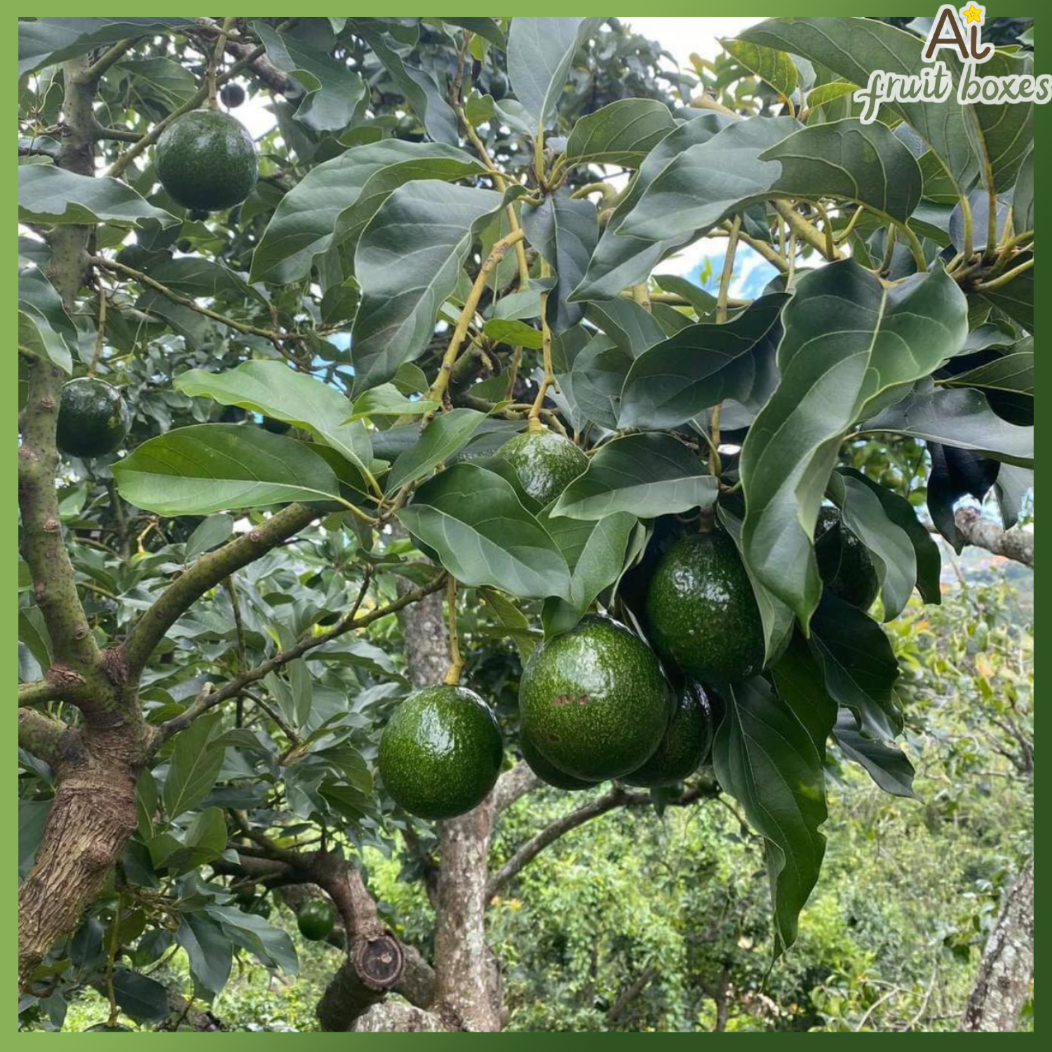 photo 2024 09 19T110902.876