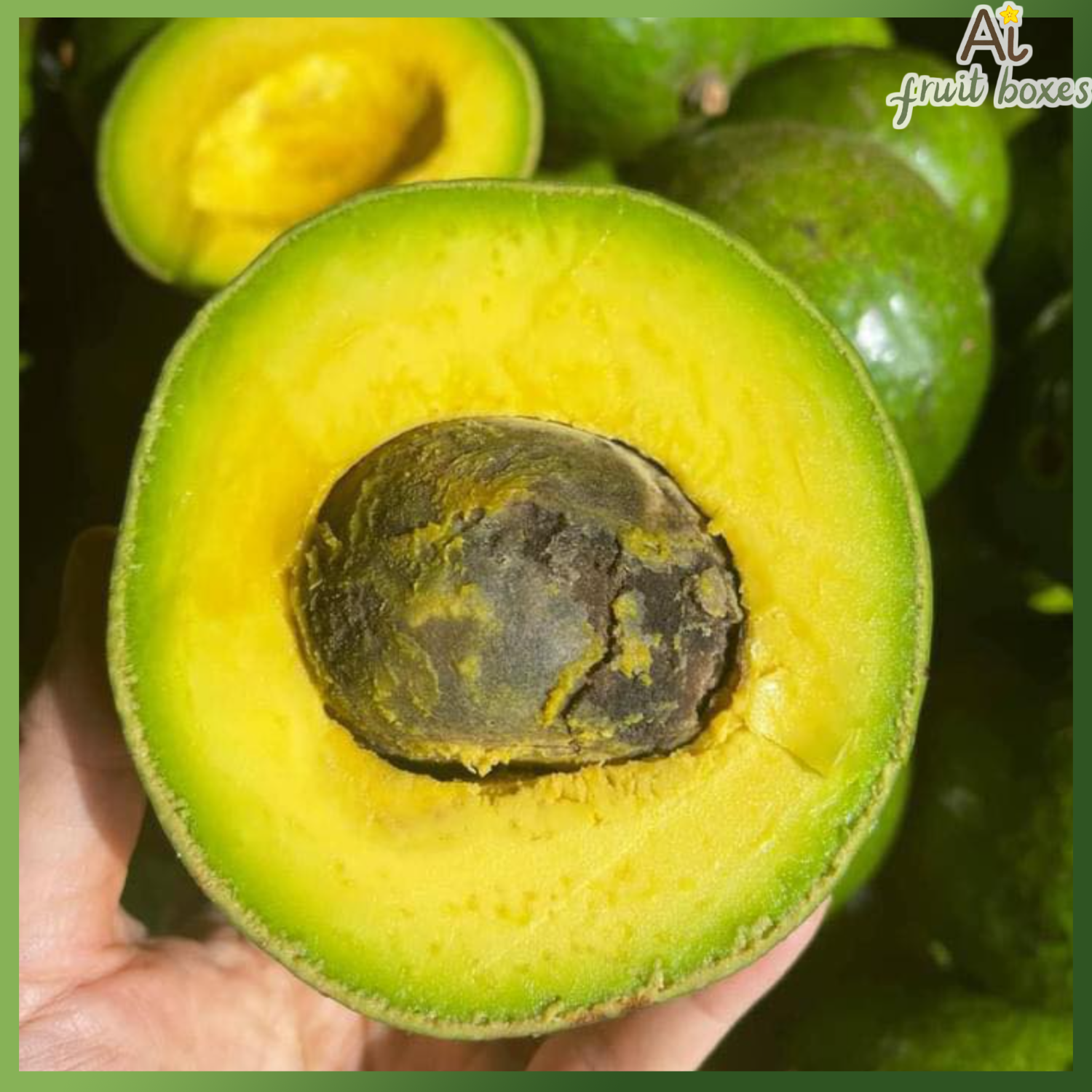 photo 2024 09 19T110932.152