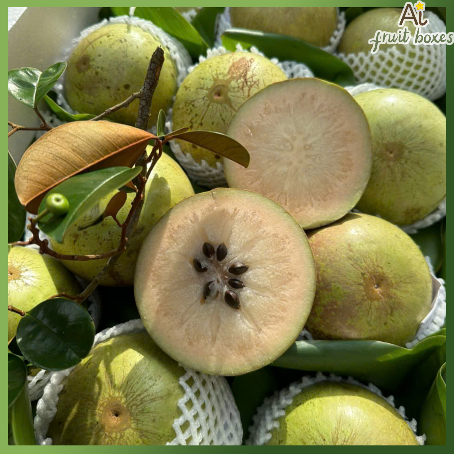 photo 2024 09 23T124357.611