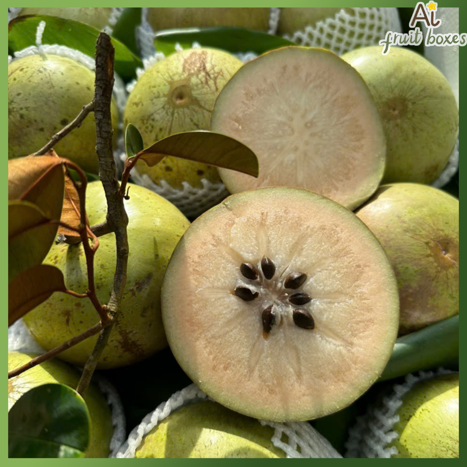 photo 2024 09 23T124518.669