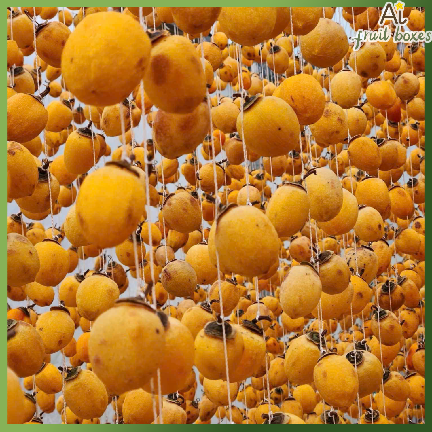 photo 2024 09 24T142109.105 photo 2024 09 24T142109.105