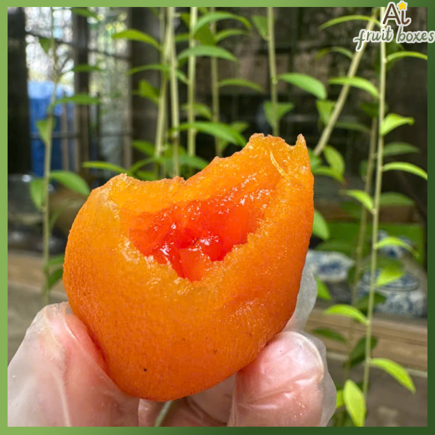 photo 2024 09 27T084747.604 photo 2024 09 27T084747.604