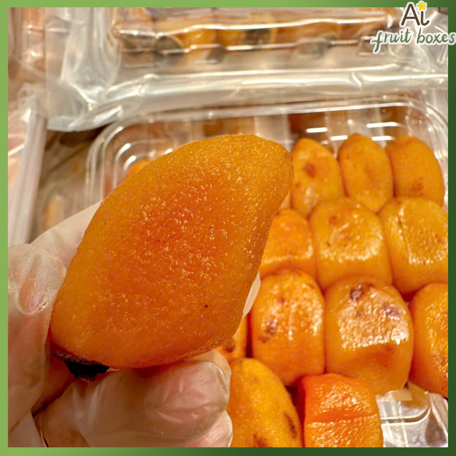 photo 2024 09 27T084801.328