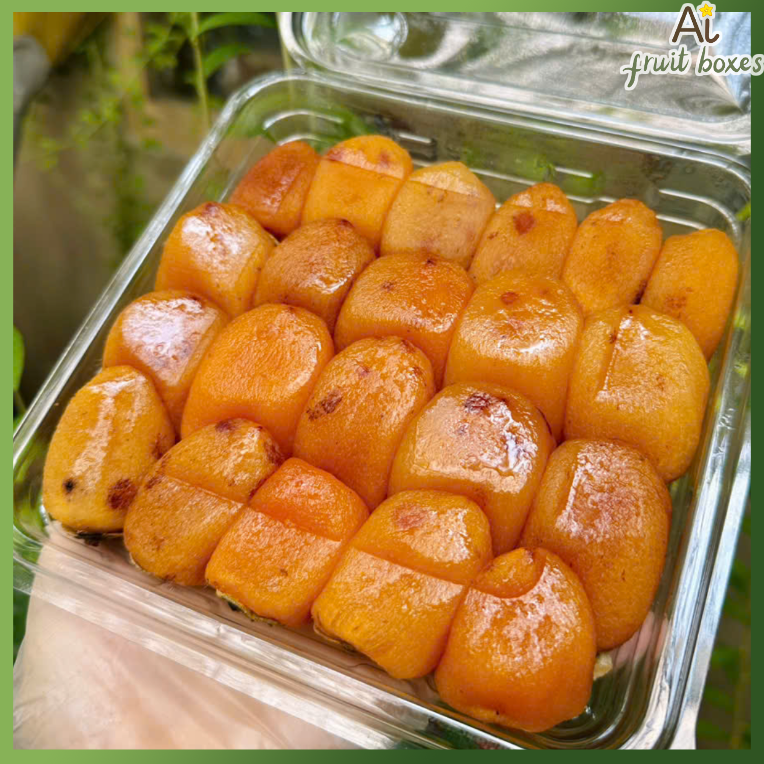 photo 2024 09 27T084830.646