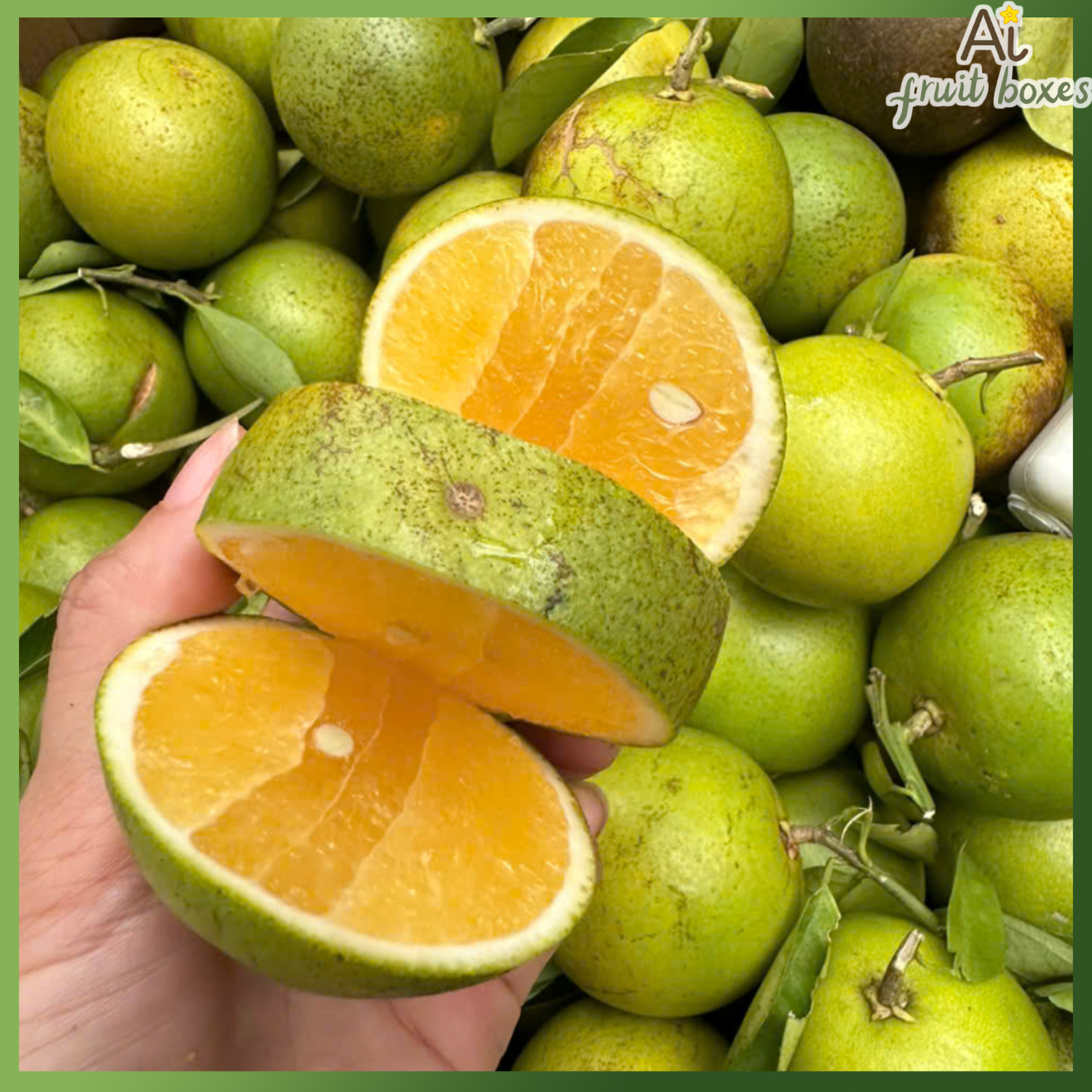 photo 2024 09 27T132404.769