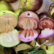 318247511 197072402828524 5369875705819351649 n