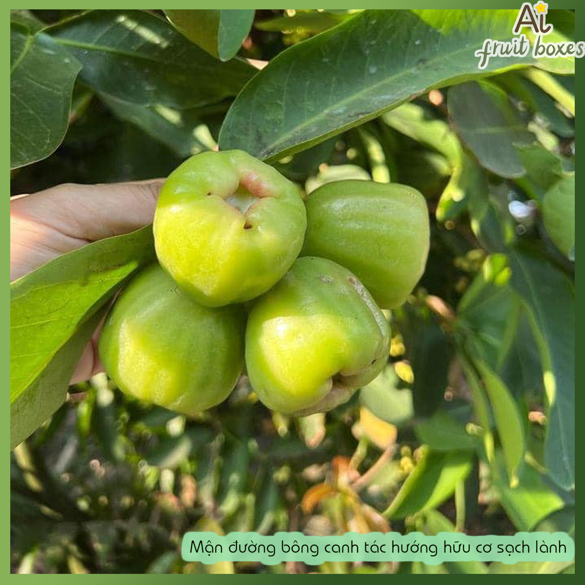 415324767 393744569827972 68777987237676832 n (1)