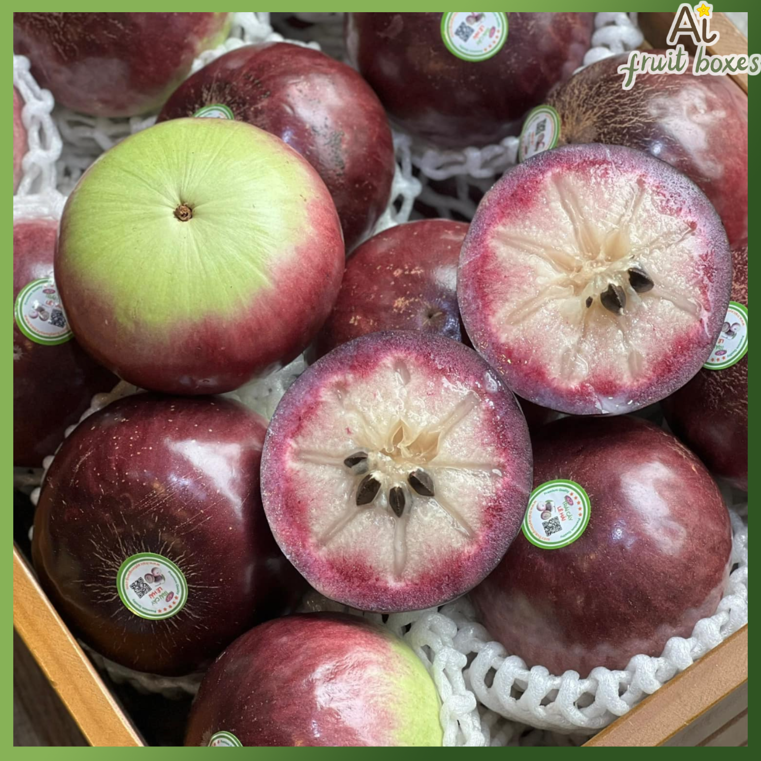 photo 2024 10 03T160411.765