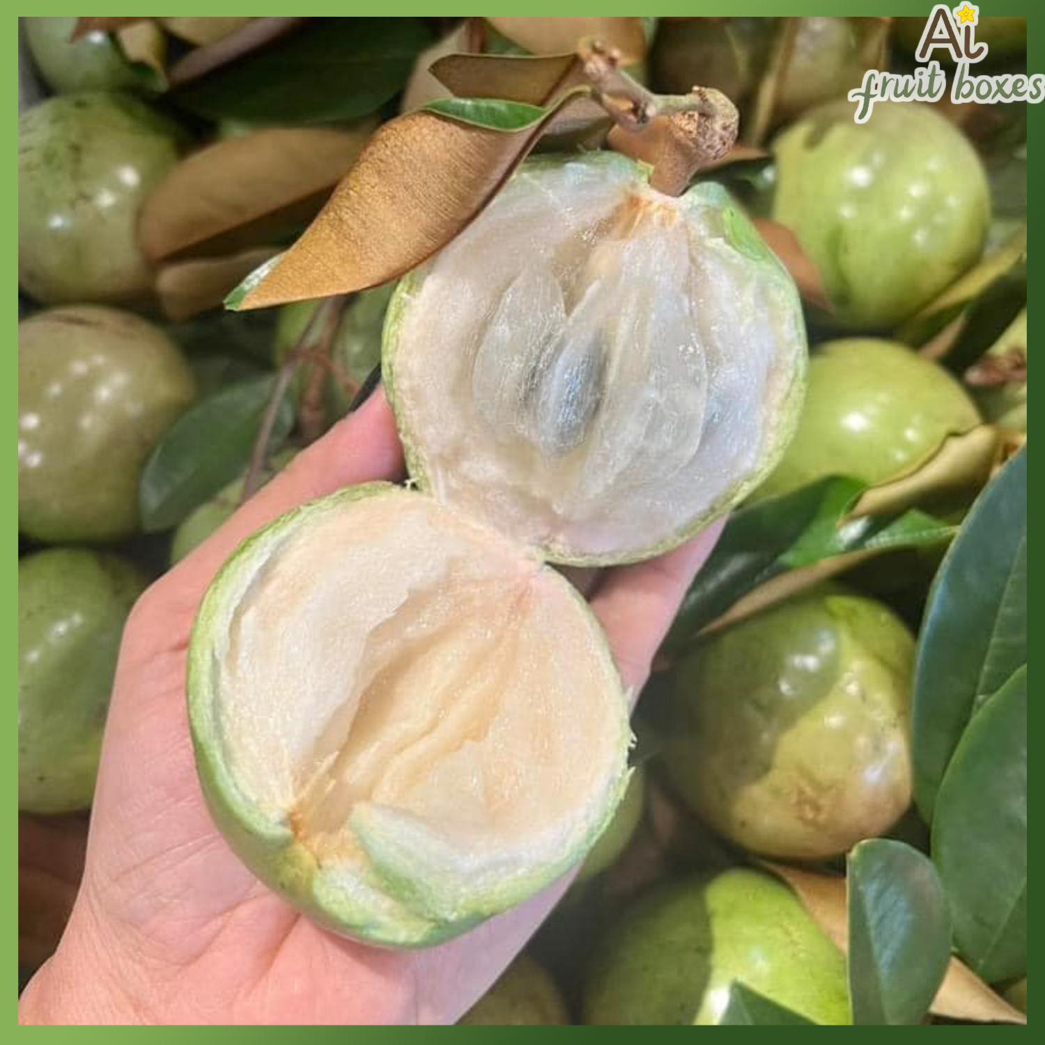 photo 2024 10 03T160426.936