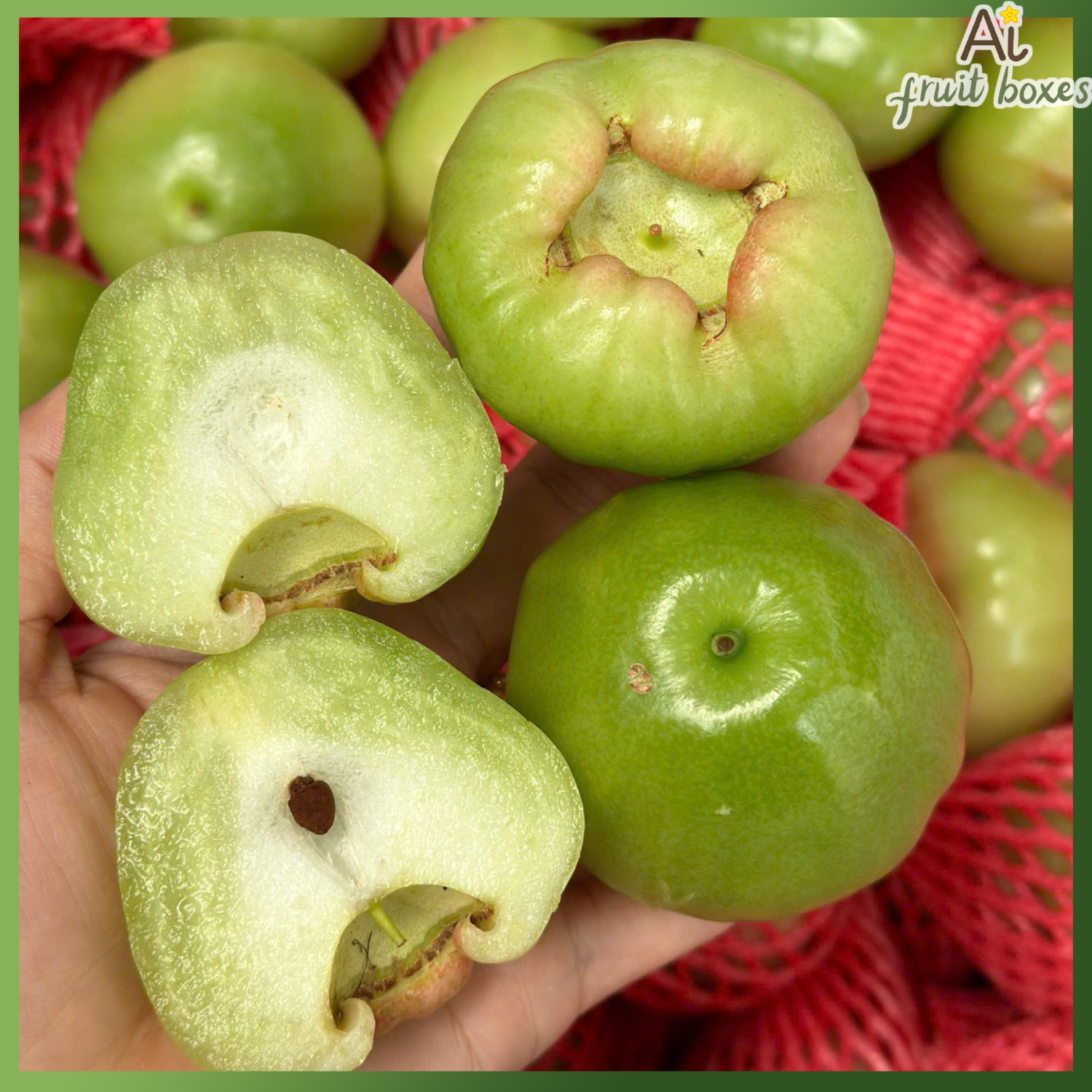 photo 2024 10 24T144655.131