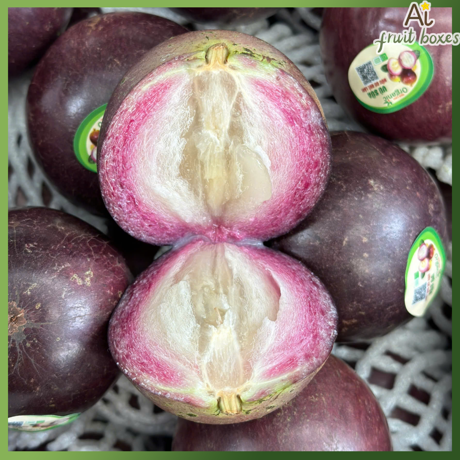 photo 2024 10 30T131303.598 photo 2024 10 30T131303.598