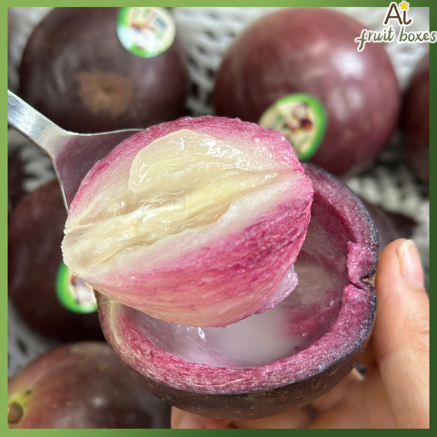 photo 2024 10 30T131322.867 photo 2024 10 30T131322.867