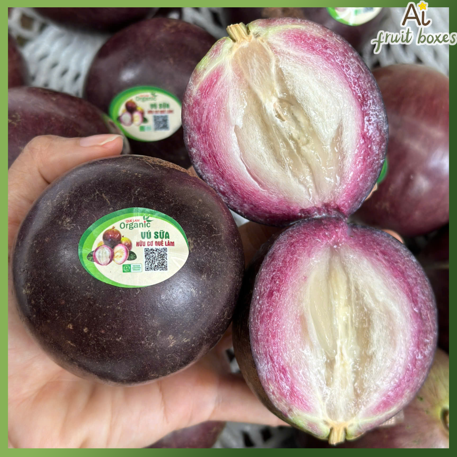 photo 2024 10 30T131344.782 photo 2024 10 30T131344.782