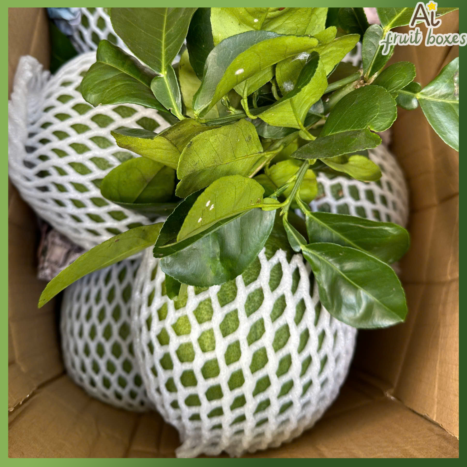 photo 2024 11 14T102923.789