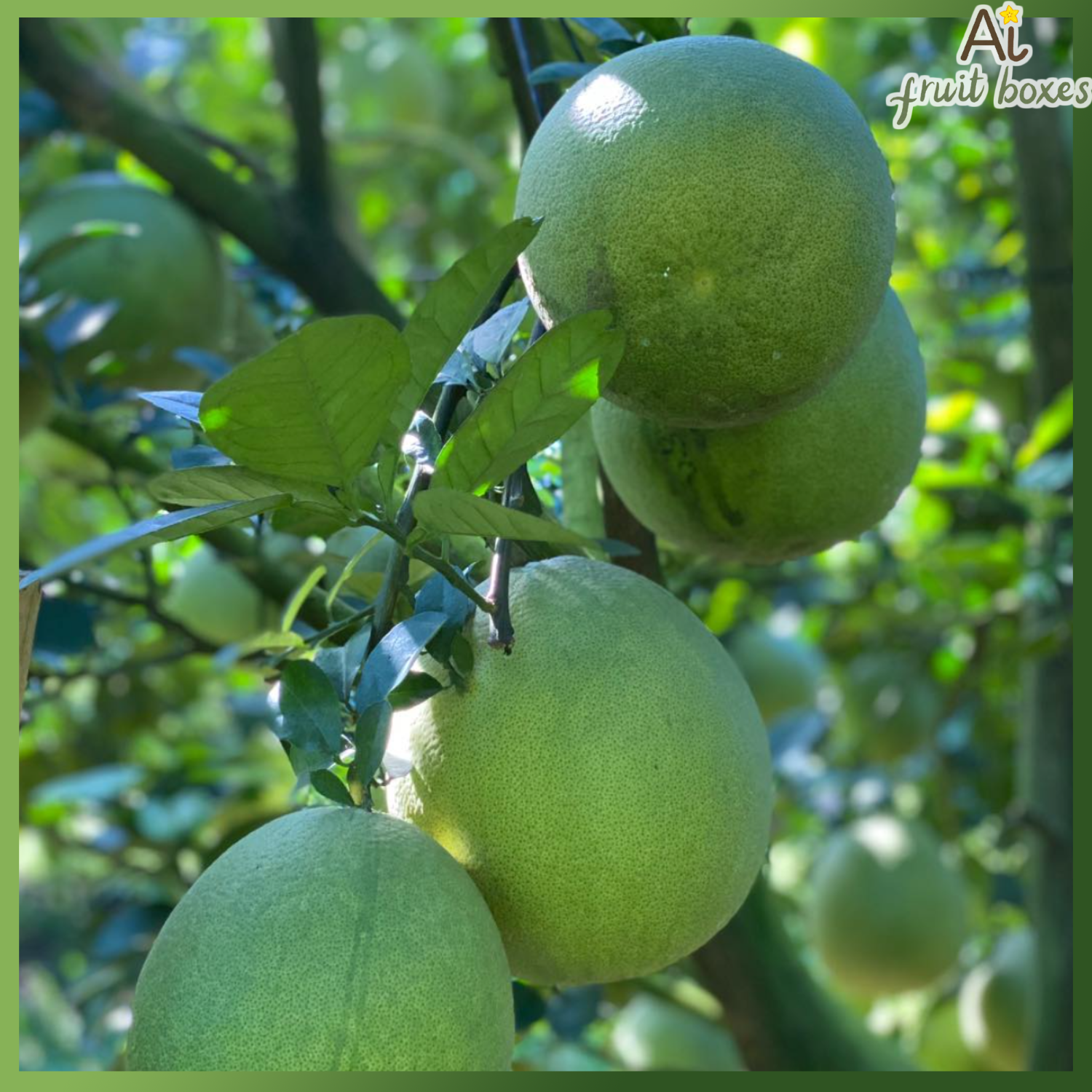 photo 2024 11 14T102954.806 photo 2024 11 14T102954.806