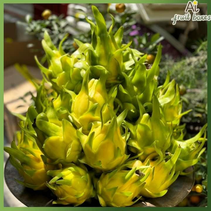 430986643 1002087248586218 4296947499694379707 n