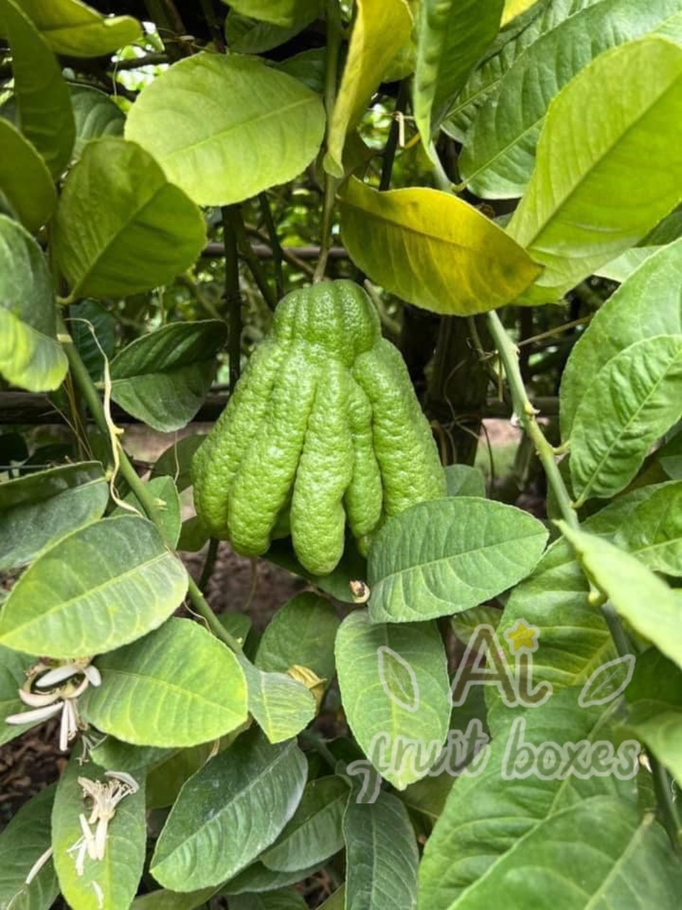 phat thu (12) phat thu (12)