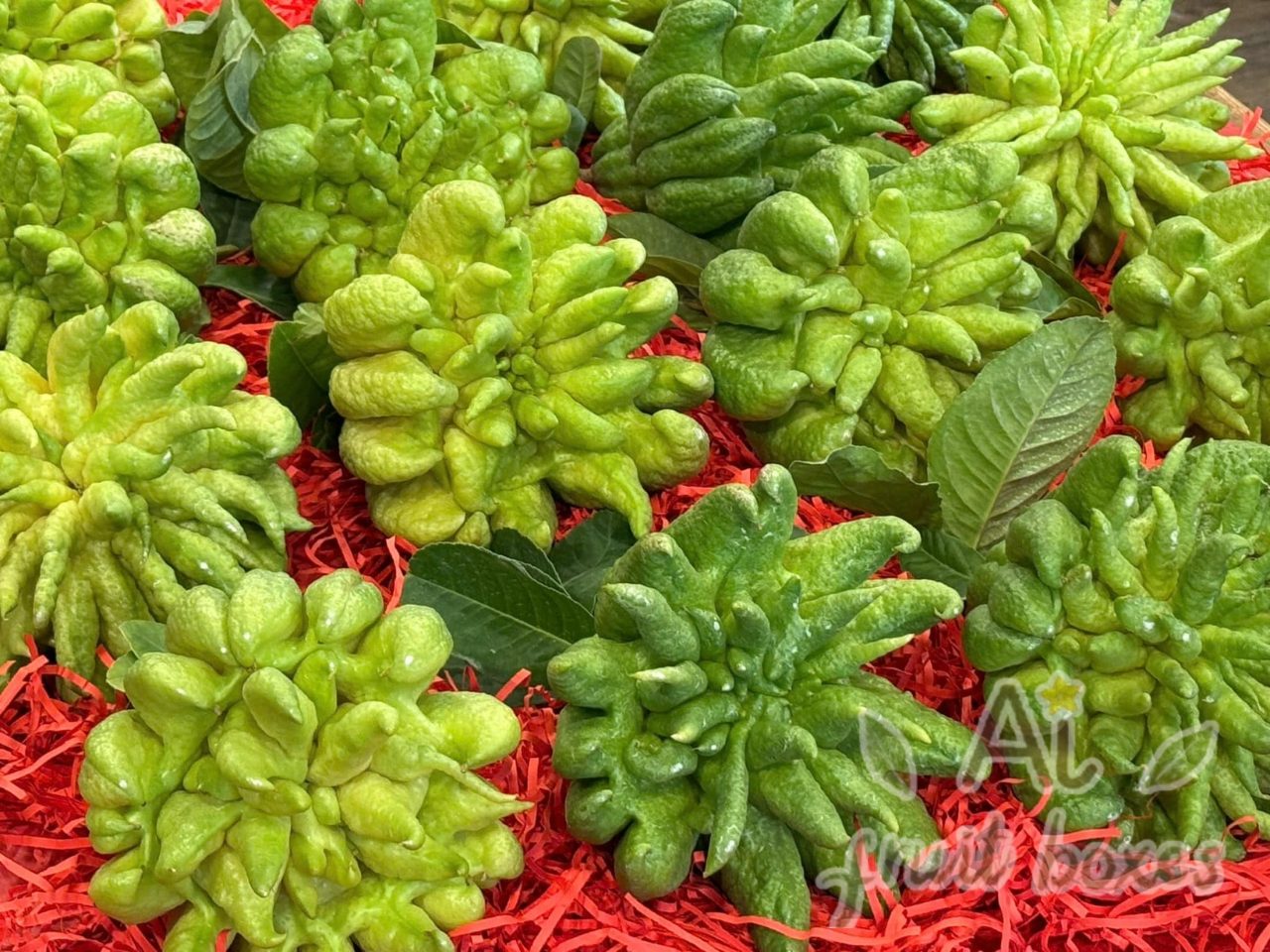 phat thu (4) phat thu (4)