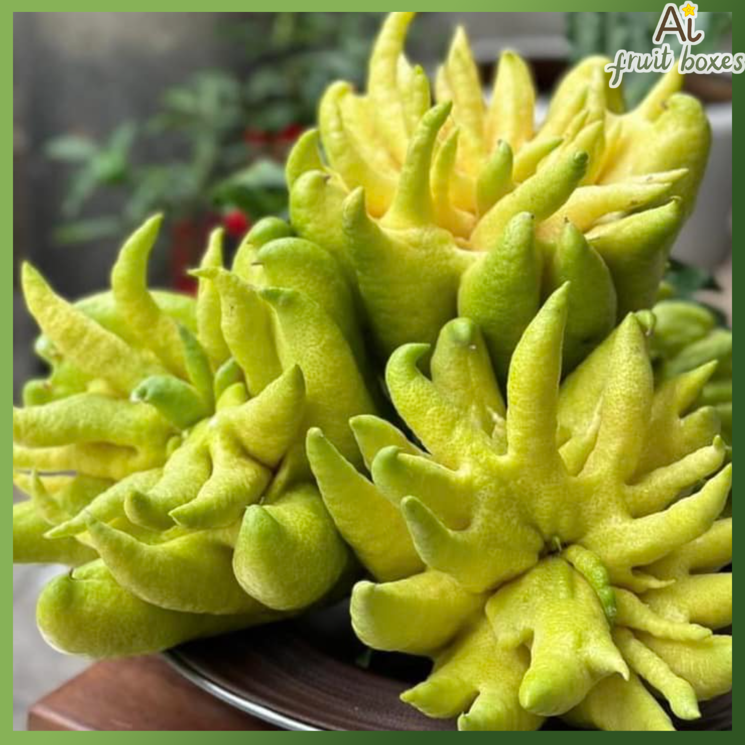 photo 2024 12 16T081630.524